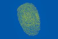Image paye et administration